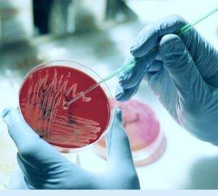 山东第三方环境检测 山东第三方环境检测