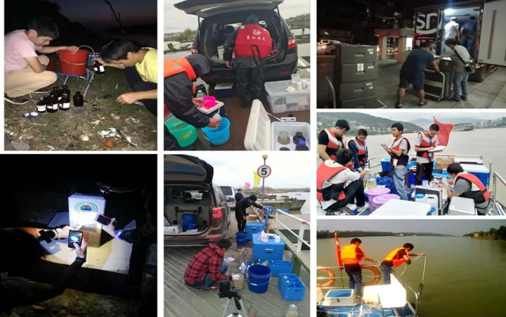 1508375326472159.jpg 101902.jpg